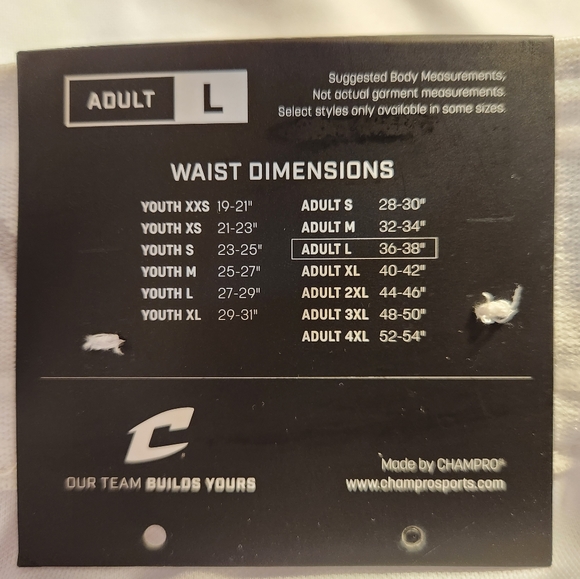 CHAMPRO Men' Standard Adult Triple Crown Knicker Sz L - Picture 7 of 8